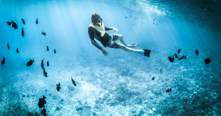 PHIDEX 2021 Makes a Splash in the International Dive Market