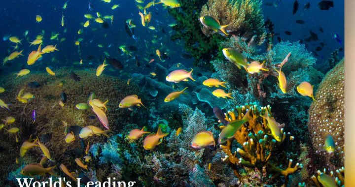 PH is World’s Leading Dive and Beach Destinations