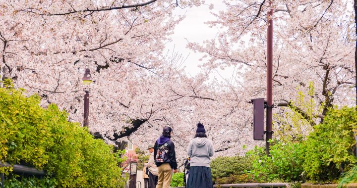 Spend Your 2023 Summer in These Must-See Destinations