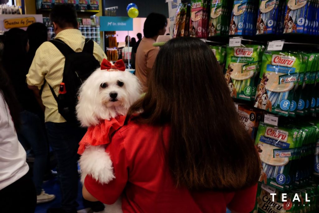 Give Your Pets the Royal Treatment at Pet Kingdom Gateway Mall II