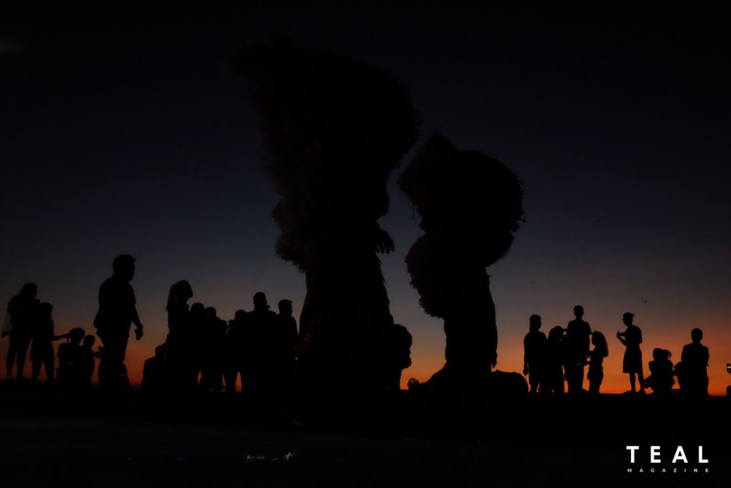 centurion general luna