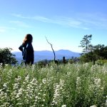 Why the busiest days are exactly when you need a ritual — and how to build one